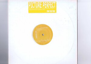 ドイツ盤 12inch Someone Else / Picture Perfect (Remixes) TTT13