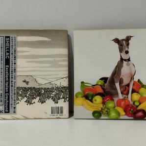 【CD】SHELLAC/シェラック Excellent Italian Greyhound【ac02g】の画像1