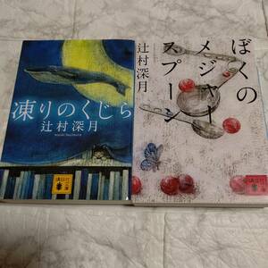 2冊 辻村深月「凍りのくじら」「ぼくのメジャースプーン」