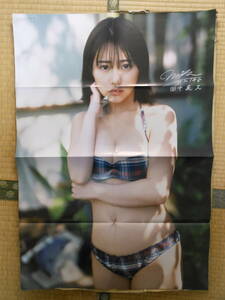 entame appendix HKT48 rice field Nakami .B2 size both sides poster 