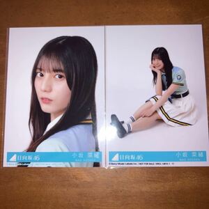 日向坂46 小坂菜緒 Am I ready? 封入生写真 (検 乃木坂46 シリアルナンバー 櫻坂46 応募券コンプ 何歳の頃に戻りたいのか？ チャンスは平等