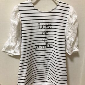 未使用 ボーダーカットソー Tシャツ MISCH MASCH M
