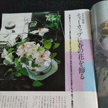 non-no／1982年.No.8／4月20日創刊250号記念号▲白にこだわり白を見直す▲靴とボトムのベストな関係▲桜田淳子▲ピンクレディー・ケイ_画像3