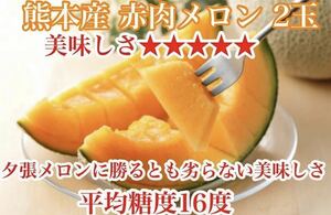 大人気！熊本産 赤肉メロン【秀品2玉L約3.3k箱込】熊本フルーツ堂