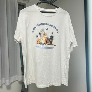 shein DAZY 猫　ネコ プリントTシャツ Tシャツ