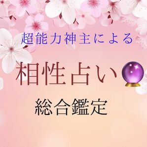 ☆最強神主☆相性鑑定☆霊視☆相性占い☆開運☆強運引き寄せ☆鑑定書付き☆恋愛☆数秘