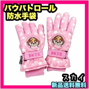 新品 パウパトロール スカイ 手袋 子供 キッズ 防水 防寒 スキー 女の子 スキー手袋 スキーグローブ 子供用