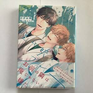 「瞳に映るブルー」かざみ幸 即購入OK、合計3〜4冊同封OK(送料込の本は同封不可) の画像1