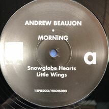T 12インチ Andrew Beaujon MORNING LP レコード 5点以上落札で送料無料_画像3