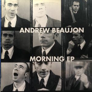 T 12インチ Andrew Beaujon MORNING LP レコード 5点以上落札で送料無料