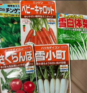 野菜の種　小分け