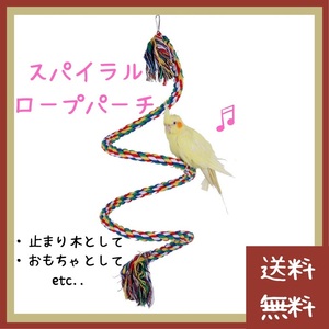 [ value goods ] bird spiral pa-chi perch ( toy bird to Iseki seiko The klauro core kiksa playing ... tree rope parakeet )