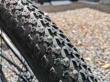 mongoose　マングース　ファイヤーボール　mtb ダートジャンプ_画像5