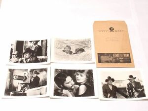 Y 18-24 洋画 映画 スチールフォト 1973年 ロス・アミーゴス アンソニークイン フランコネロ 5枚セット 配布用封筒付 映画写真 映画グッズ