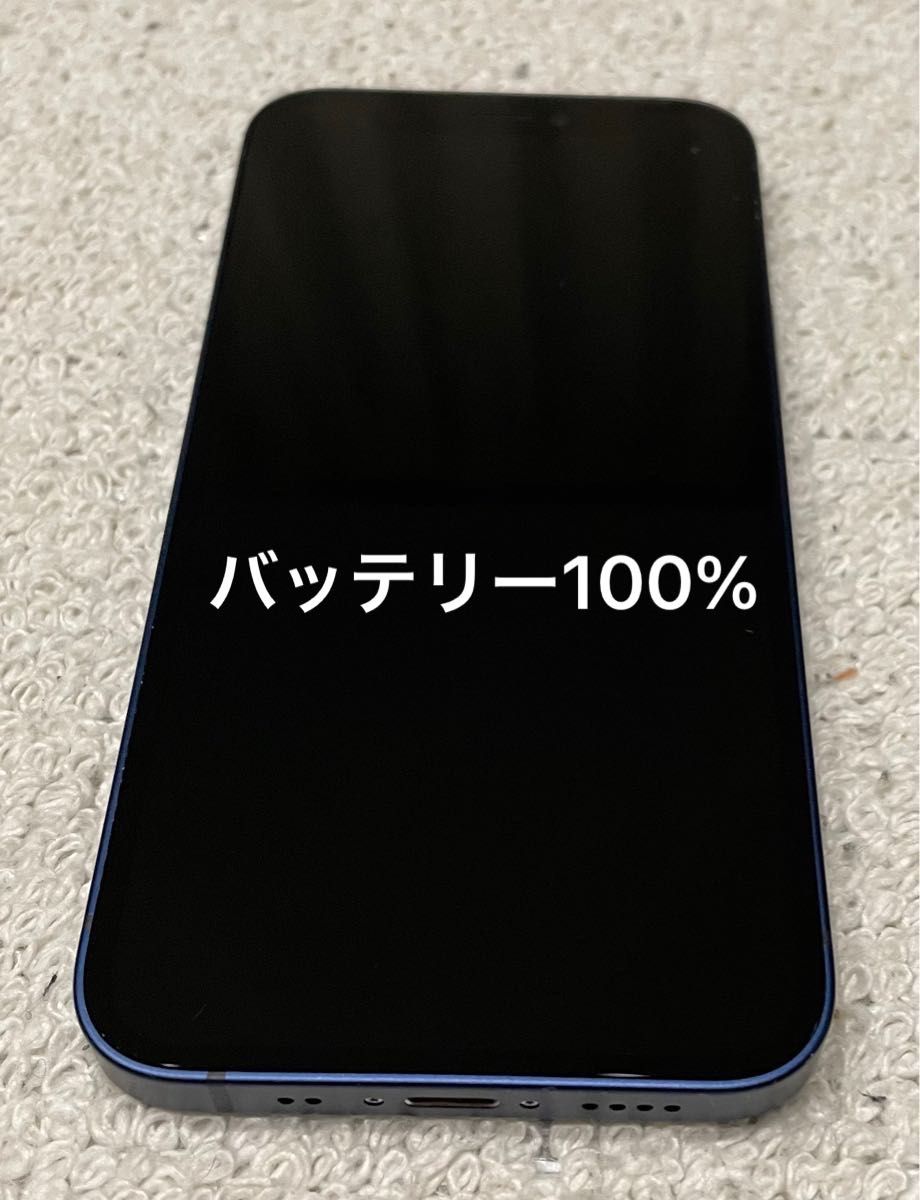 10164【極美品】iPhoneXs 256GB グレー SIMフリー バッテリー100% 安心