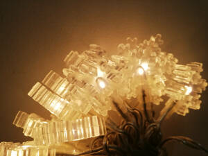 [ unused ] illumination light for interior 20 lamp snow clear lamp / clear snow illumination 