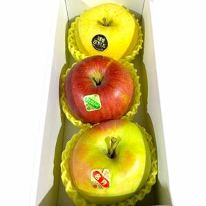 りんご 青森県産 贈答用　ぐんま名月、シナノスイートとメジャートキ3玉セット