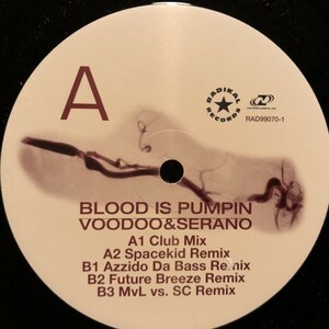 Voodoo & Serano / Blood Is Pumpin'