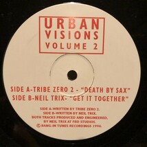 Tribe Zero 2 , Neil Trix / Urban Visions Volume 2_画像1