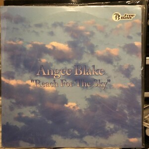 Angee Blake / Reach For The Sky