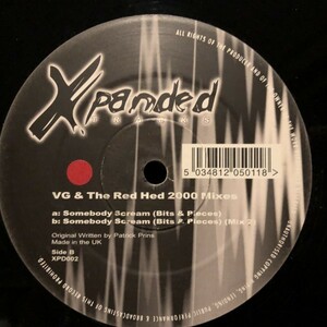VG & The Red Hed / Somebody Scream (2000 Mixes)