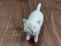 ＊obu＊ハンドメイド＊ 羊毛フェルト　猫 白猫　和猫　福猫 ねこ 立ちポーズ お散歩　手のひらサイズ_画像6