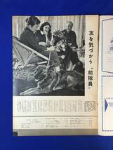 CK1545c☆毎日グラフ 1958年3月2日 馬渕晴子/赤線ただいま移動中/金子繁治/杉浦幸雄/神楽坂浮子/狂態のハイティーン/昭和33年_画像3