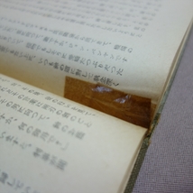 【傷み強】 恩寵溢る 罪人らの首長に バンヤン 小野武雄 訳新教出版社 / 昭和 キリスト教_画像7