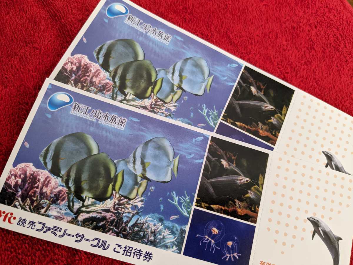ヤフオク! -「えのすい」の落札相場・落札価格