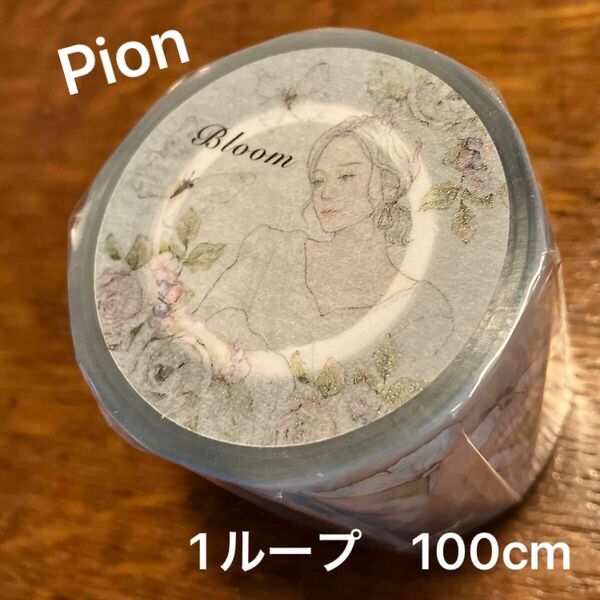 ●NEW● Pion 海外マスキングテープ PETテープBloom 新品未開封品　1ループ100cm切り売り