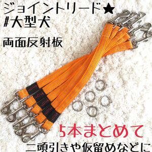 ★同梱お得★ジョイントリード・まとめて5本★大型犬・ウォルターシリーズ♪業販・卸・フリマ・大量販売★オレンジ