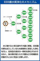 バイオミニブロック 淡水魚・海水魚どちらでも使用できますただ水槽に入れるだけで水替えせず長期間熱帯魚・観賞魚ファン必見_画像4