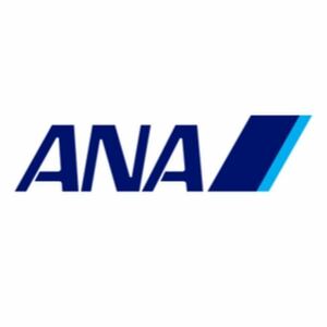 ANA 全日空　100マイル　最短2日