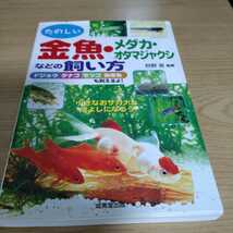 たのしい 金魚・メダカ・オタマジャクシなどの飼い方 中古本_画像1