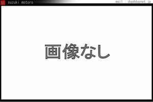 Q3 虫取りクリーナ アウディ純正部品 パーツ オプション