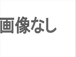 A6・S6 センターキャップ アウディ純正部品 パーツ オプション