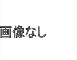 A6・S6 スノーブレード 運転席側 アウディ純正部品 パーツ オプション