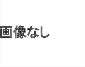 A5・S5 ラバーバルブ アウディ純正部品 パーツ オプション