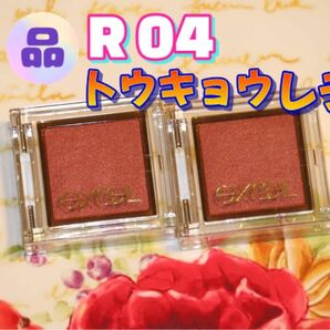 サナ エクセル アイプランナー R 04 (トウキョウレディ) × 2個