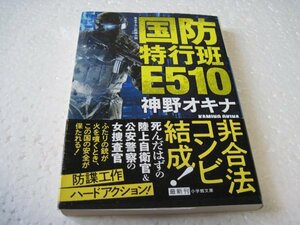 神野 オキナ　国防特行班E510 (小学館文庫)