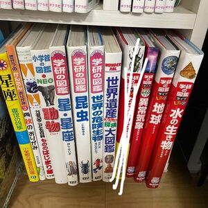 小学館の図鑑NEO 学研の図鑑 図鑑　11冊