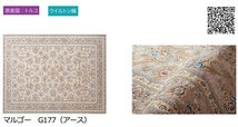 【送料無料】ラグ マット GLOBE IMPORT CARPET COLLECTION マルゴー G177 ア-ス 250x350_画像3