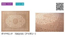 【送料無料】ラグ マット GLOBE IMPORT CARPET COLLECTION ダイヤモンド 7263/101 アイボリー 200x250_画像3