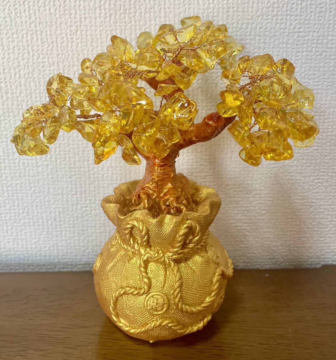 2023年最新】ヤフオク! -招財樹の中古品・新品・未使用品一覧