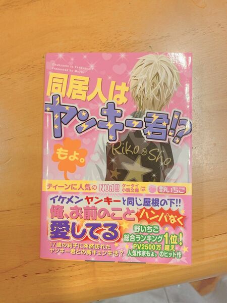 ケータイ小説 同居人はヤンキー君！？