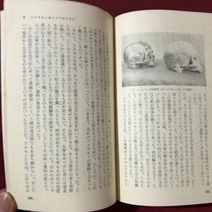 ｍ◆ エスキモー人 日本人の郷愁をさそう北方民族 祖父江孝男著 昭和36年初版発行 /I100の画像7