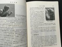 ｓ◆　昭和44年 8版改訂増版　ボクシング　高比良靖男　スポーツ入門双書10　ベースボールマガジン社　書籍　/K60右_画像6