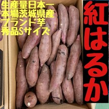 新物正規品Sサイズ100㌔R5年紅はるか土付茨城県減農薬栽培農家直送_画像1