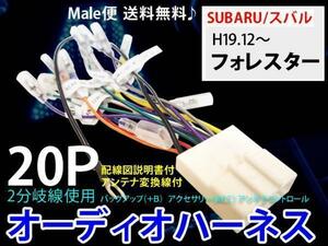 メール便送無/スバルオーディオハーネス20P/PO12S-フォレスター H19.12～