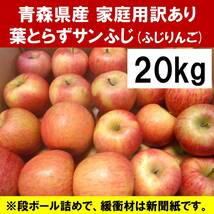 【1円開始】青森県産 訳あり家庭用 葉とらずサンふじ(ふじりんご) 20kg【11/4(土)20:00台終了】20キロ_画像1